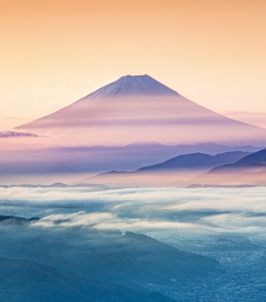 Mt. Fuji 