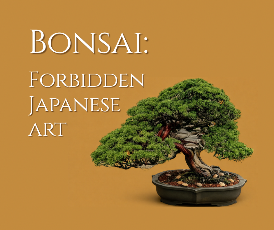 A mature Japanese bonsai tree in a ceramic pot, photographed against a warm neutral background.